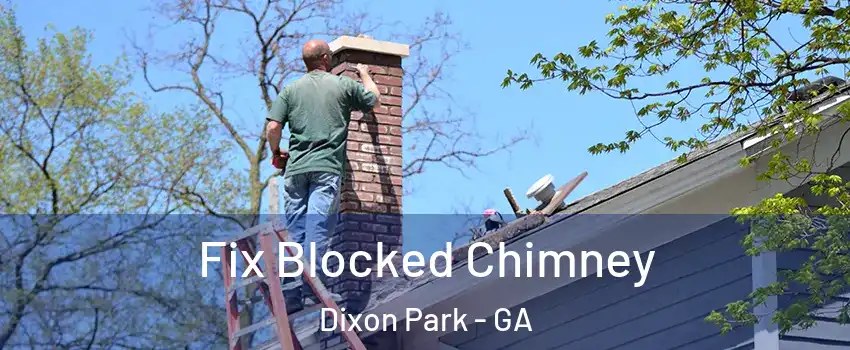Fix Blocked Chimney Dixon Park - GA