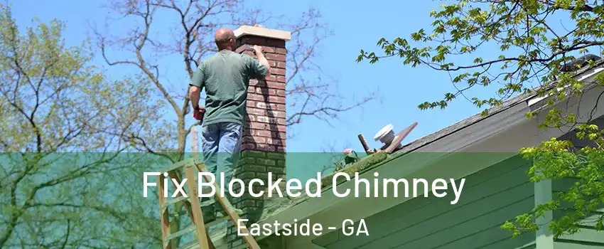 Fix Blocked Chimney Eastside - GA