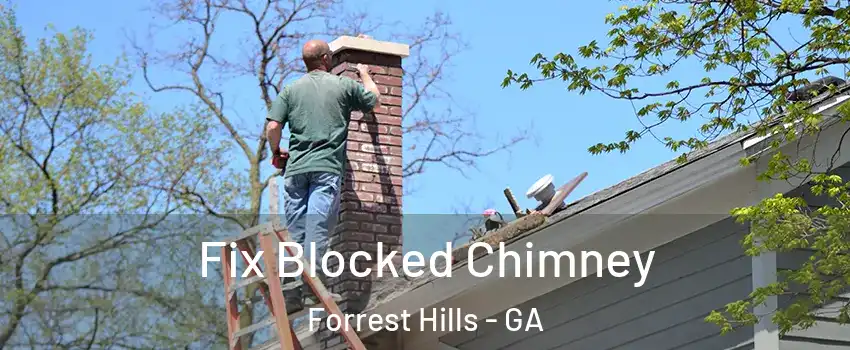 Fix Blocked Chimney Forrest Hills - GA