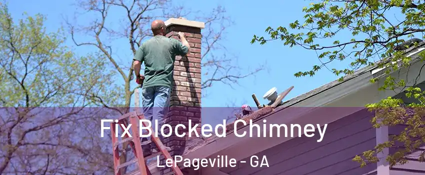 Fix Blocked Chimney LePageville - GA