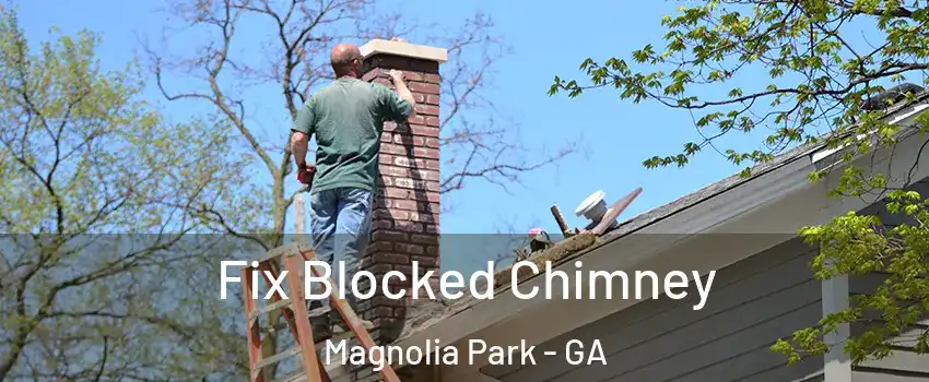 Fix Blocked Chimney Magnolia Park - GA