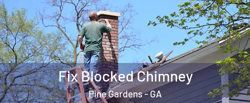 Fix Blocked Chimney Pine Gardens - GA