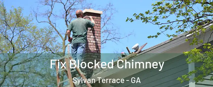 Fix Blocked Chimney Sylvan Terrace - GA