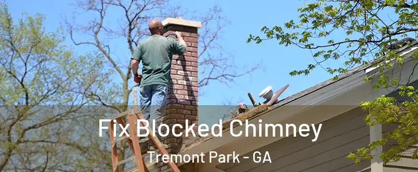 Fix Blocked Chimney Tremont Park - GA