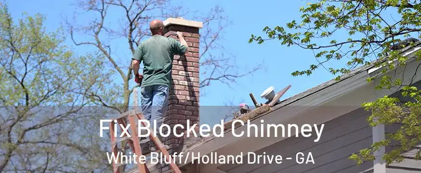 Fix Blocked Chimney White Bluff/Holland Drive - GA