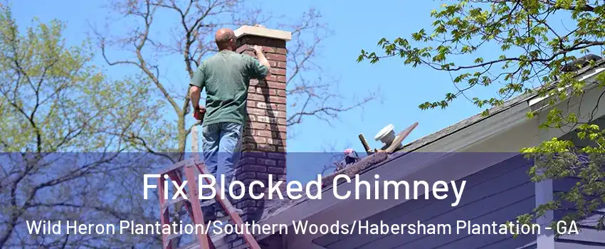 Fix Blocked Chimney Wild Heron Plantation/Southern Woods/Habersham Plantation - GA
