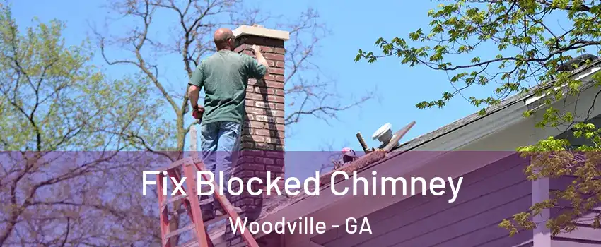 Fix Blocked Chimney Woodville - GA