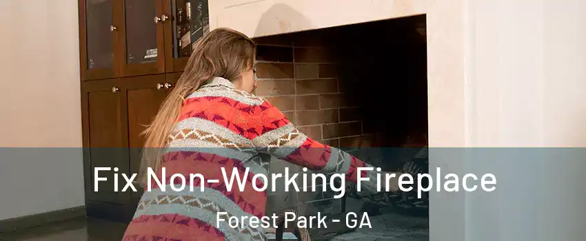 Fix Non-Working Fireplace Forest Park - GA