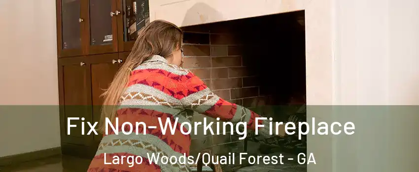 Fix Non-Working Fireplace Largo Woods/Quail Forest - GA