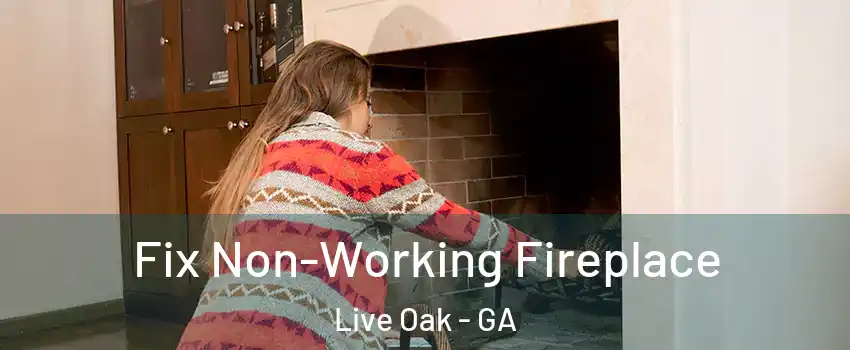 Fix Non-Working Fireplace Live Oak - GA