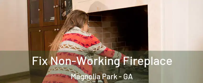 Fix Non-Working Fireplace Magnolia Park - GA