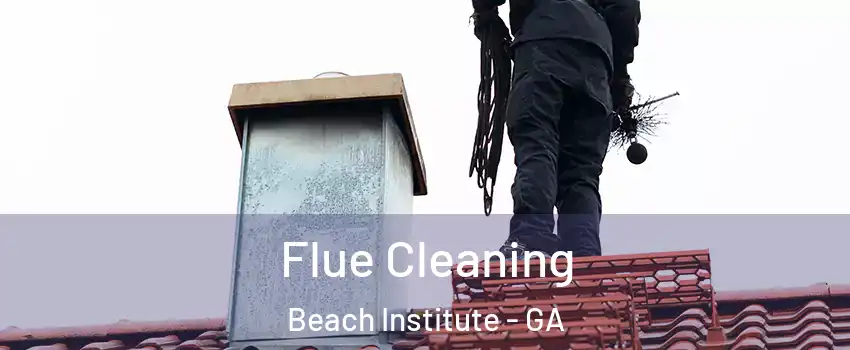 Flue Cleaning Beach Institute - GA