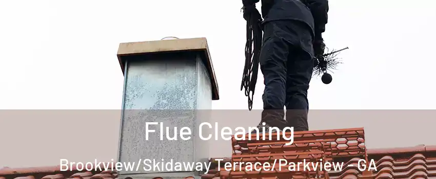 Flue Cleaning Brookview/Skidaway Terrace/Parkview - GA