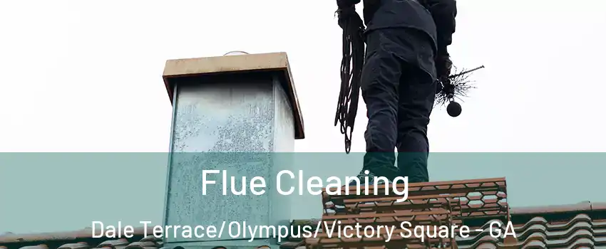 Flue Cleaning Dale Terrace/Olympus/Victory Square - GA