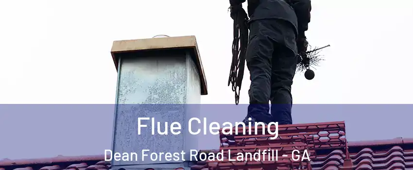 Flue Cleaning Dean Forest Road Landfill - GA
