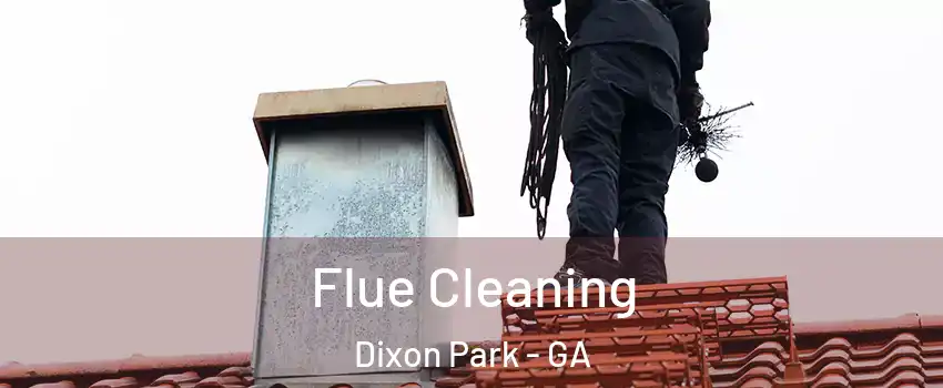 Flue Cleaning Dixon Park - GA