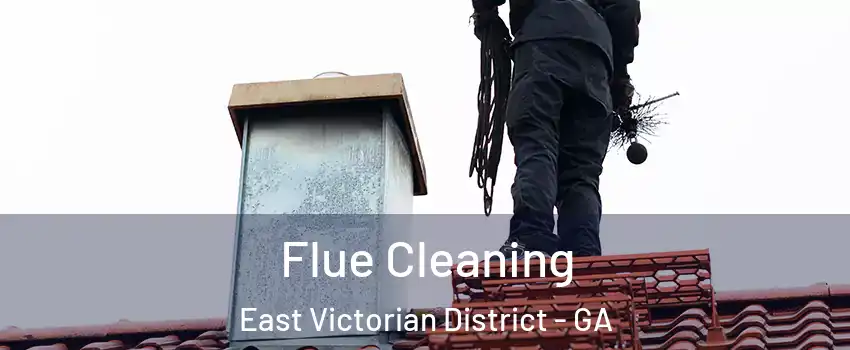 Flue Cleaning East Victorian District - GA