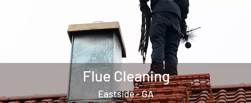 Flue Cleaning Eastside - GA