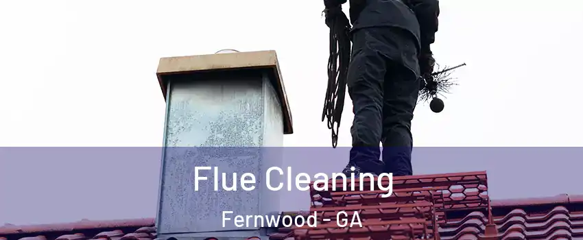 Flue Cleaning Fernwood - GA