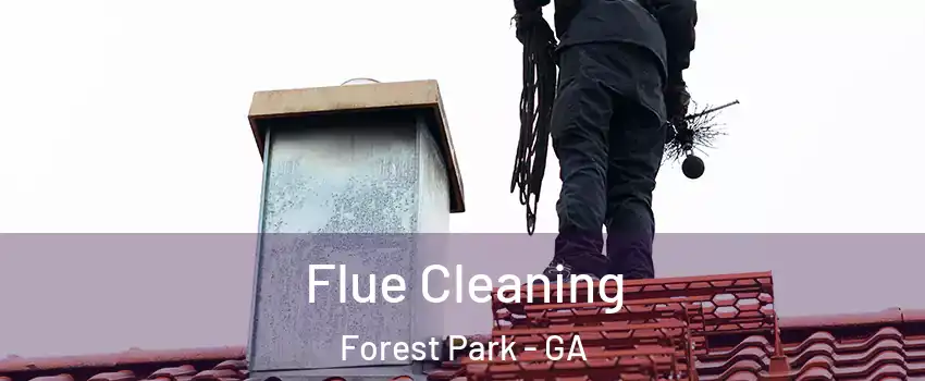 Flue Cleaning Forest Park - GA
