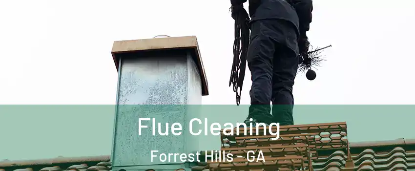 Flue Cleaning Forrest Hills - GA