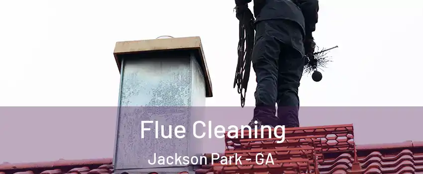 Flue Cleaning Jackson Park - GA