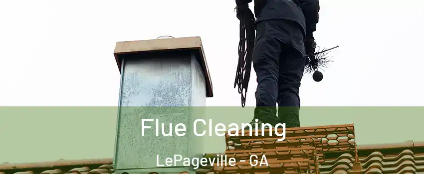Flue Cleaning LePageville - GA