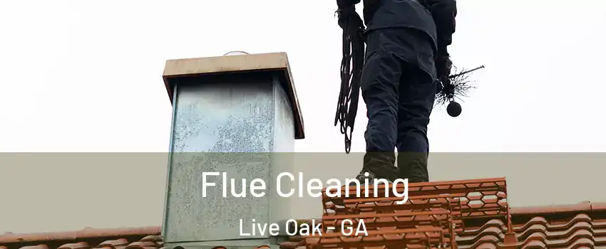 Flue Cleaning Live Oak - GA