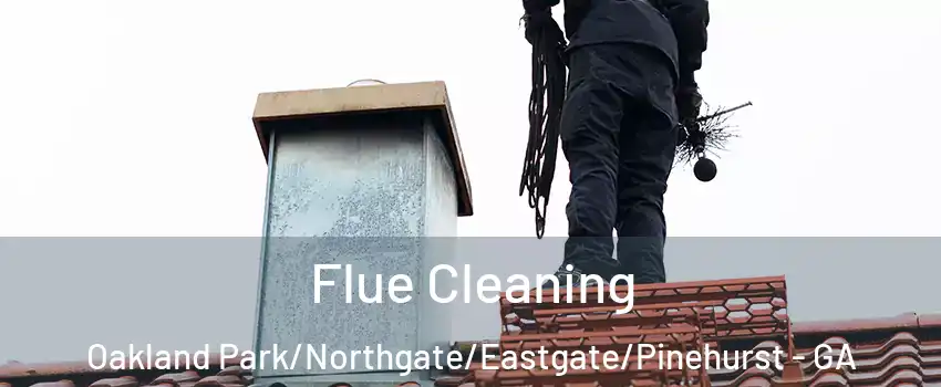 Flue Cleaning Oakland Park/Northgate/Eastgate/Pinehurst - GA