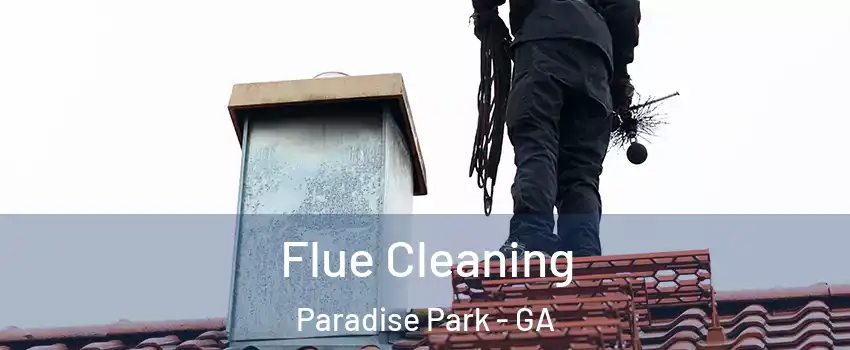 Flue Cleaning Paradise Park - GA