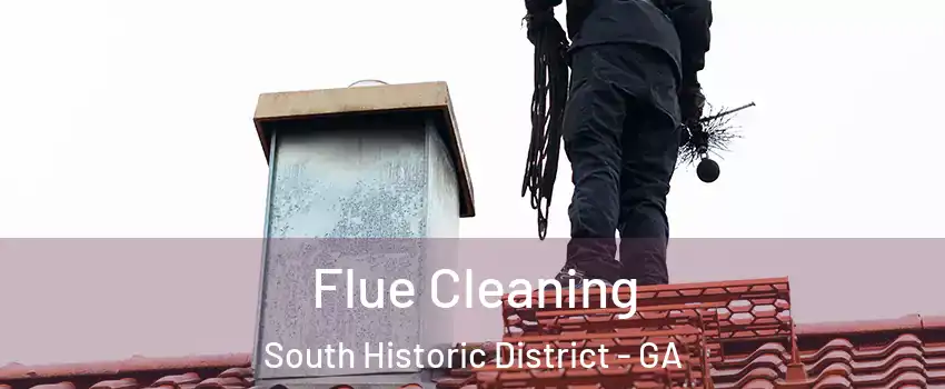 Flue Cleaning South Historic District - GA