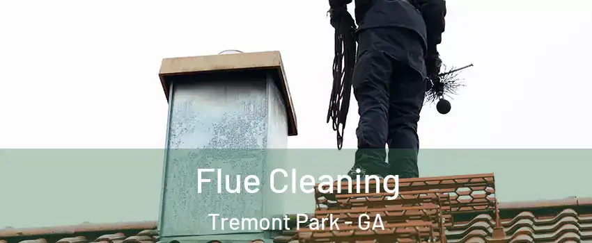 Flue Cleaning Tremont Park - GA