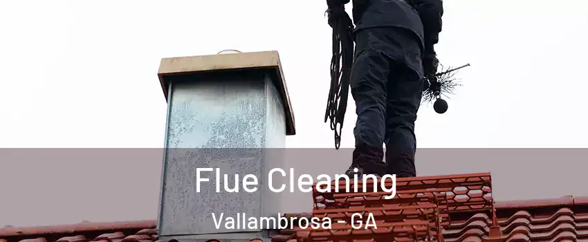 Flue Cleaning Vallambrosa - GA