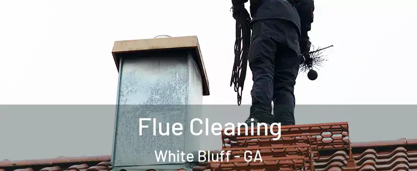 Flue Cleaning White Bluff - GA