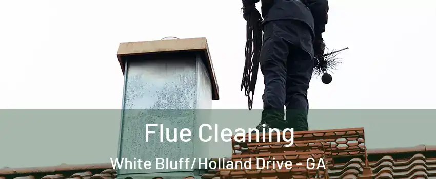 Flue Cleaning White Bluff/Holland Drive - GA