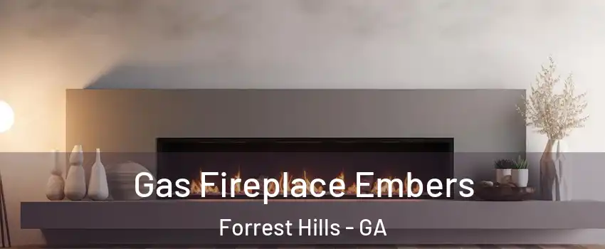 Gas Fireplace Embers Forrest Hills - GA