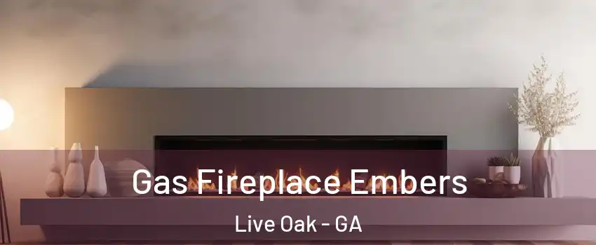 Gas Fireplace Embers Live Oak - GA