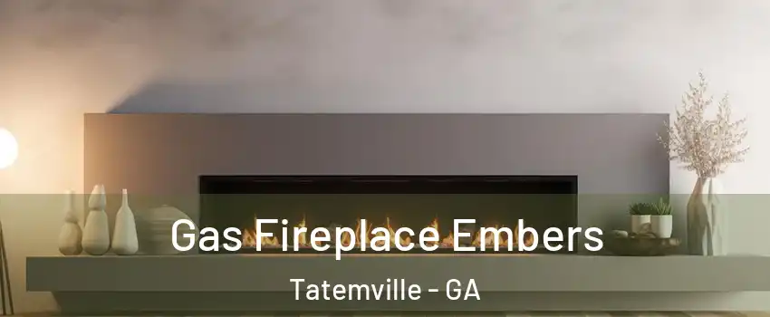 Gas Fireplace Embers Tatemville - GA