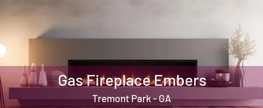 Gas Fireplace Embers Tremont Park - GA