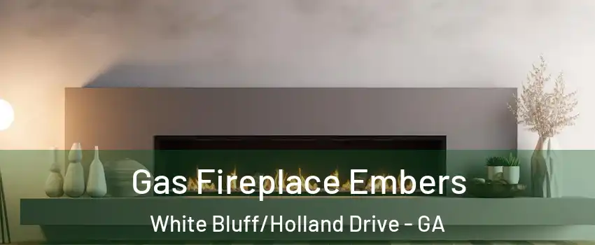 Gas Fireplace Embers White Bluff/Holland Drive - GA