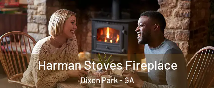 Harman Stoves Fireplace Dixon Park - GA