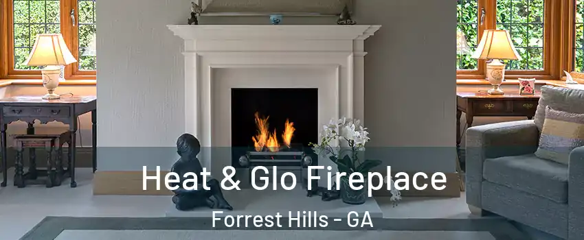 Heat & Glo Fireplace Forrest Hills - GA