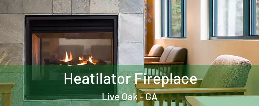 Heatilator Fireplace Live Oak - GA