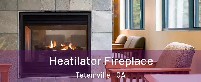 Heatilator Fireplace Tatemville - GA