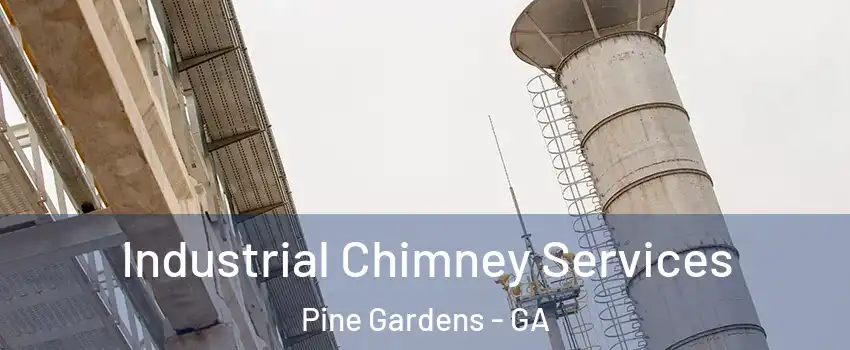Industrial Chimney Services Pine Gardens - GA