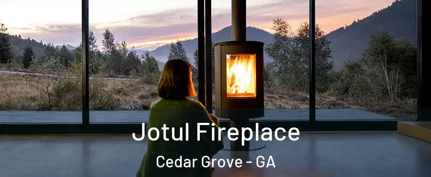 Jotul Fireplace Cedar Grove - GA