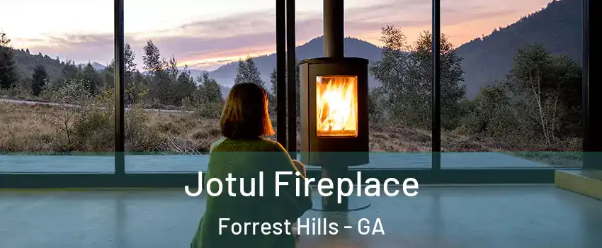 Jotul Fireplace Forrest Hills - GA