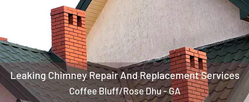 Leaking Chimney Repair And Replacement Services Coffee Bluff/Rose Dhu - GA