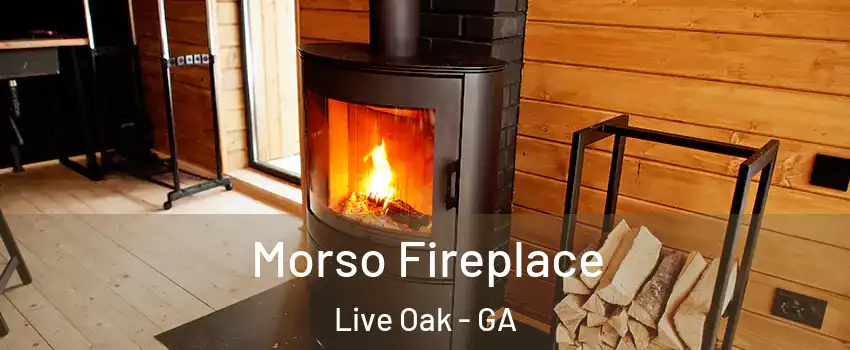 Morso Fireplace Live Oak - GA
