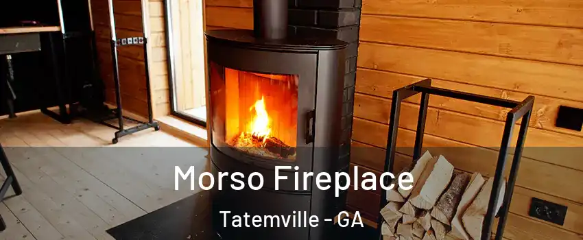 Morso Fireplace Tatemville - GA